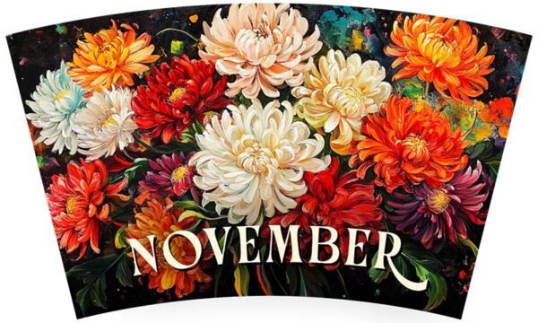 November Crysanthemum