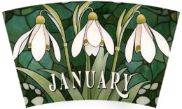 January Snowdrop - Birthflower Series Tumblers