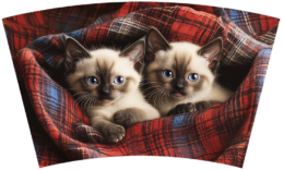 Cats on Plaid